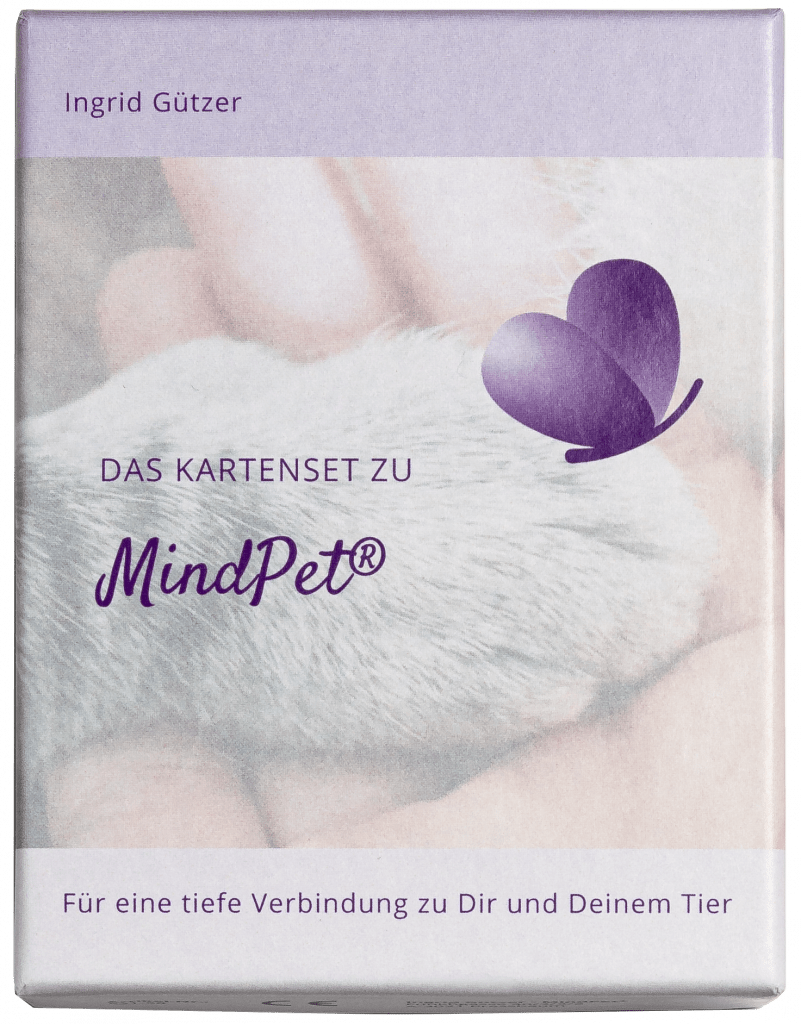 Das MindPet Kartenset für eine tiefe Verbindung zu dir und deinem Tier