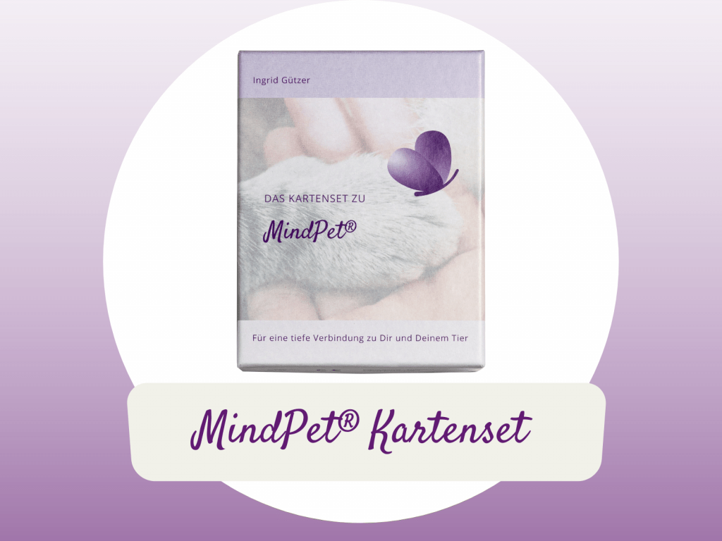 MindPet Kartenset