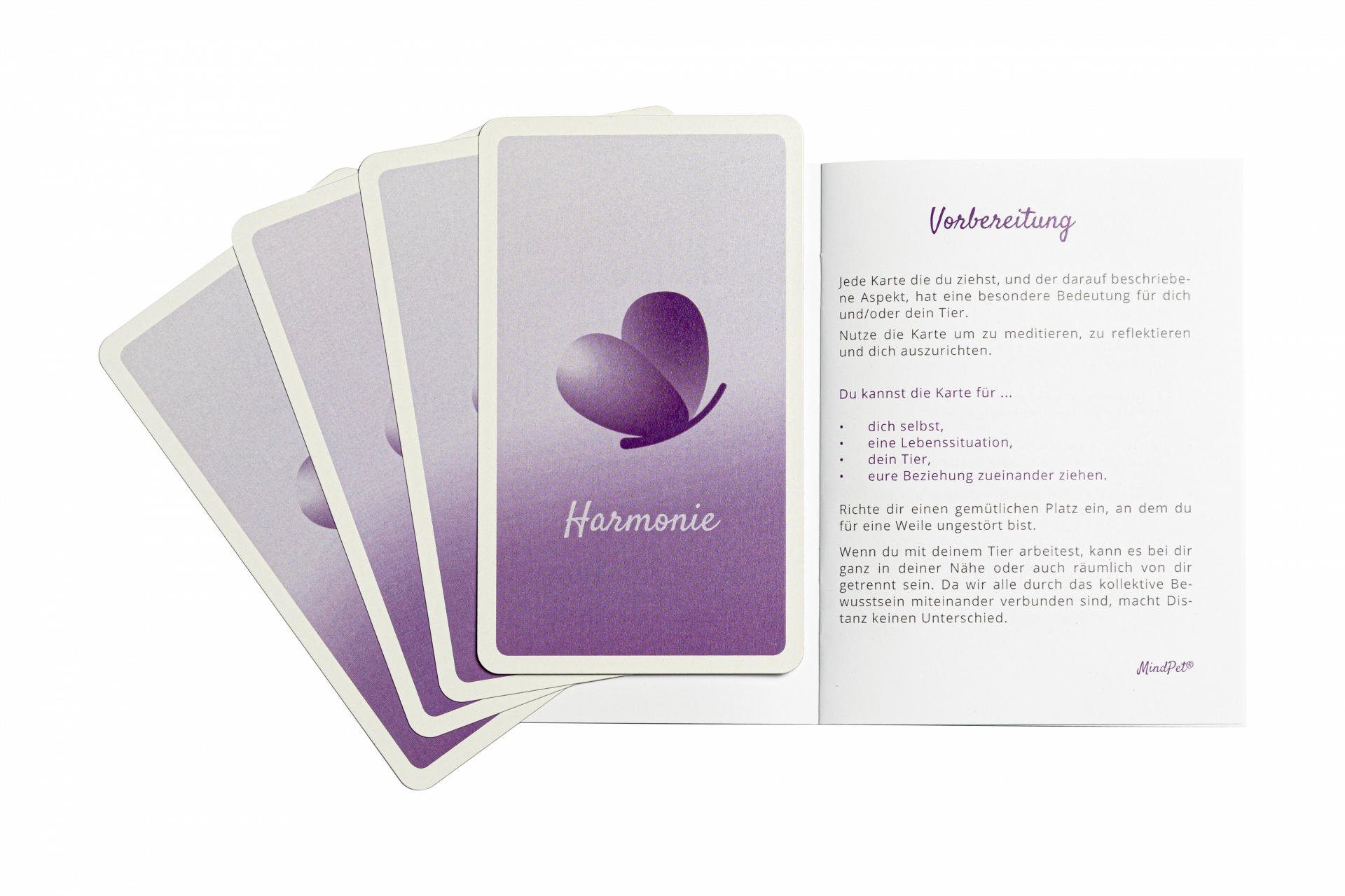 MindPet Anleitungsheft