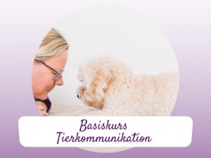 Basiskurs Tierkommunikation, online