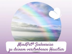 Tierkommunikation mit verstorbenen Tieren