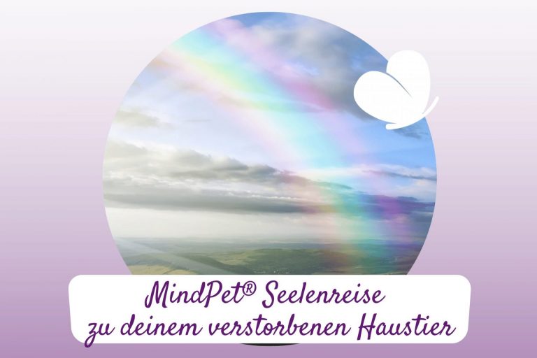Tierkommunikation mit verstorbenen Tieren