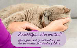 Einschläfern oder warten