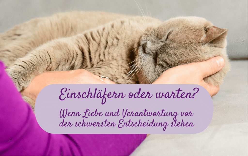 Einschläfern oder warten
